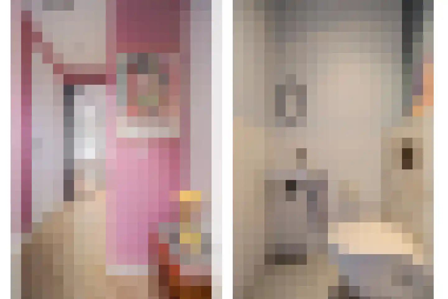 Nachtegaal 4 Vlijmen thumbnail 16