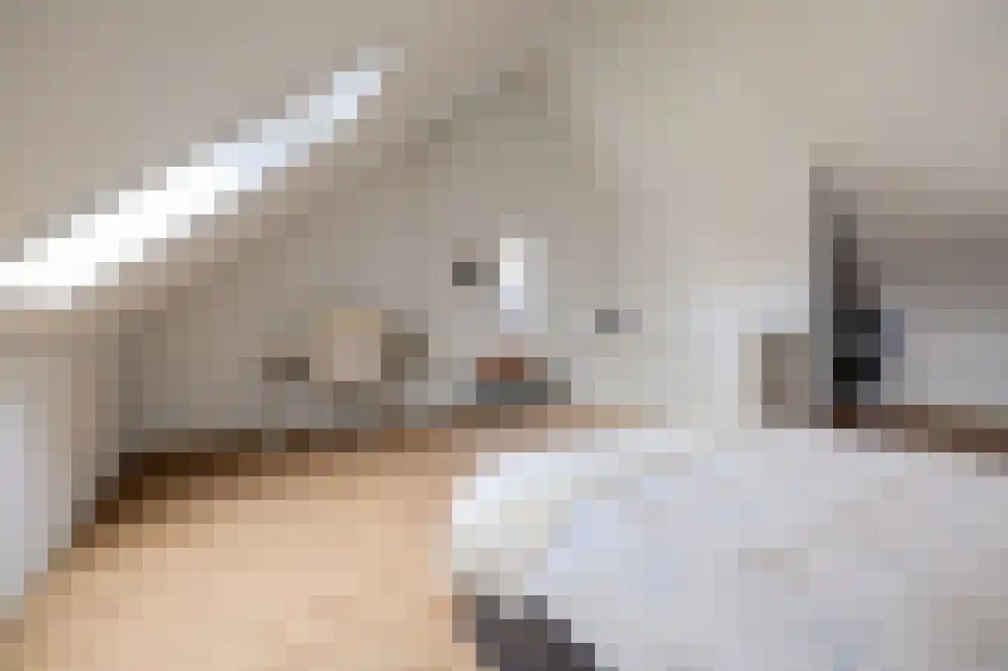 Nachtegaal 4 Vlijmen thumbnail 34