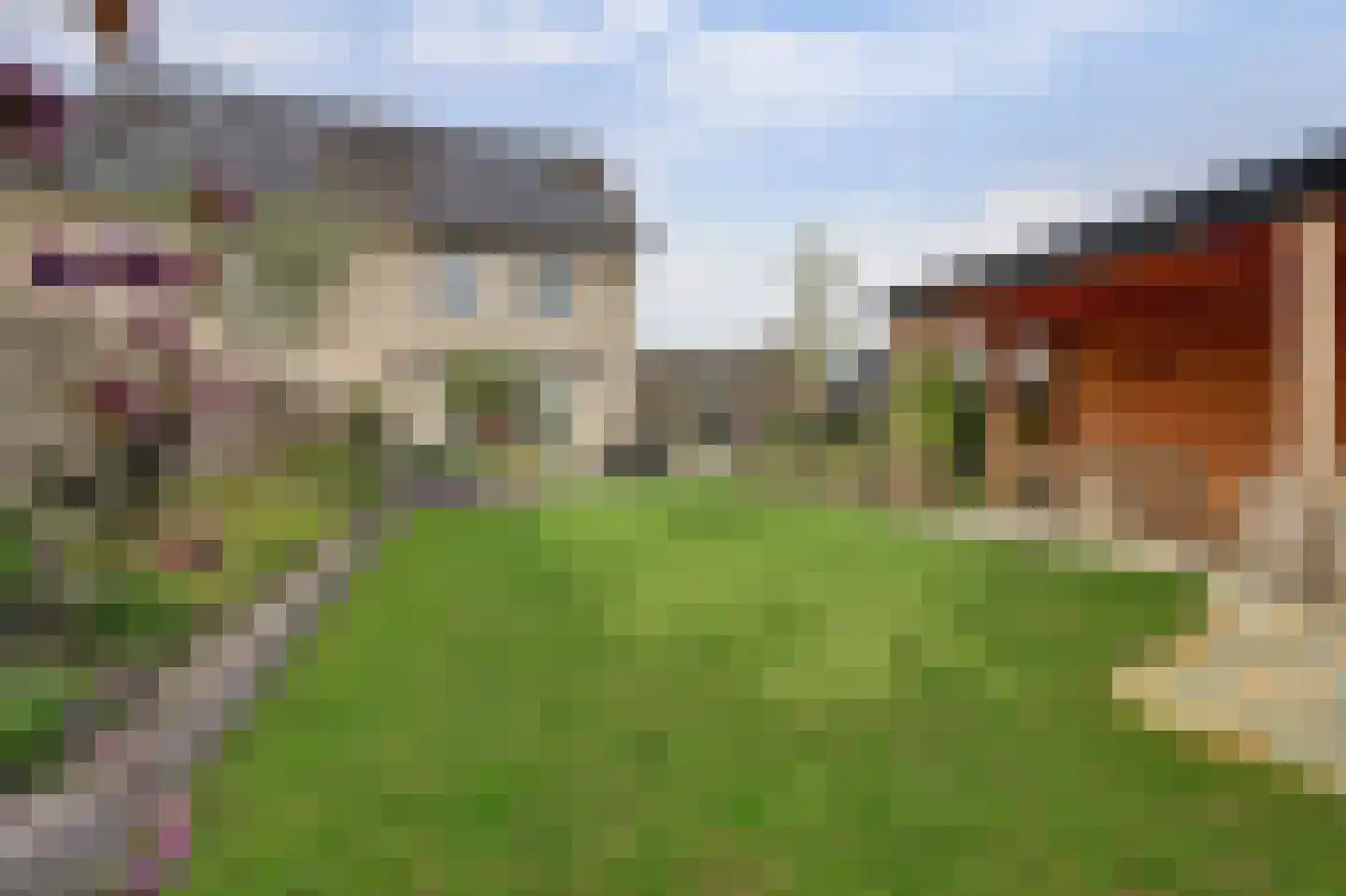 Nachtegaal 4 Vlijmen thumbnail 37