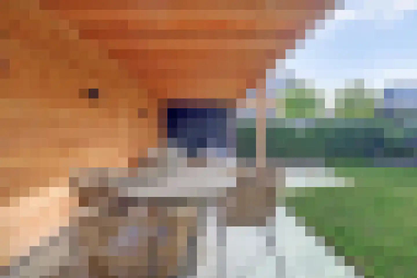 Nachtegaal 4 Vlijmen thumbnail 39
