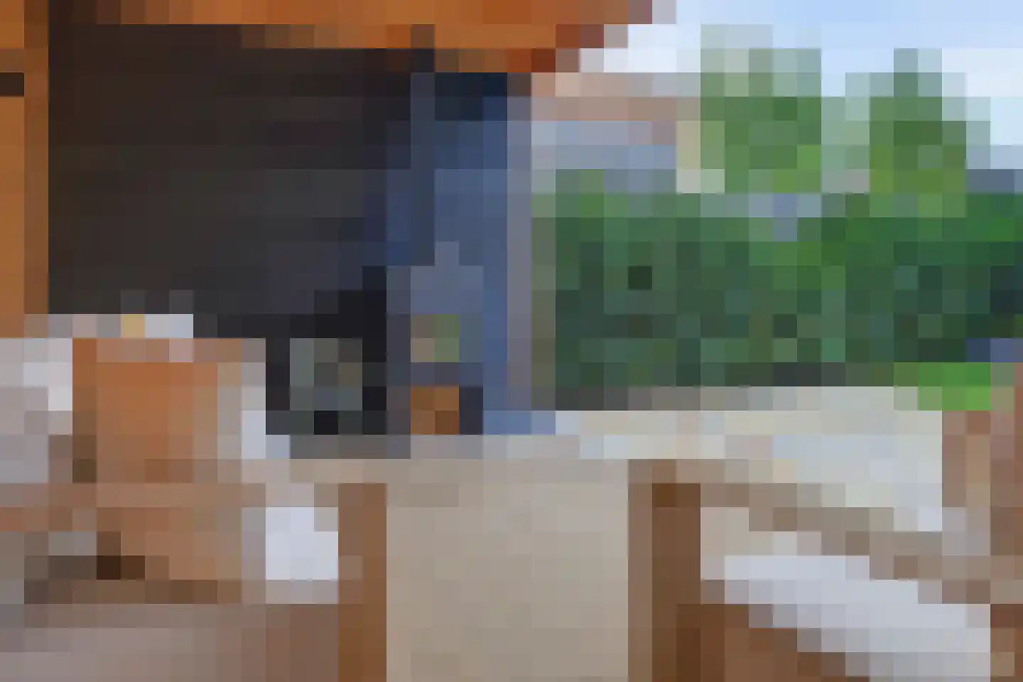 Nachtegaal 4 Vlijmen thumbnail 40