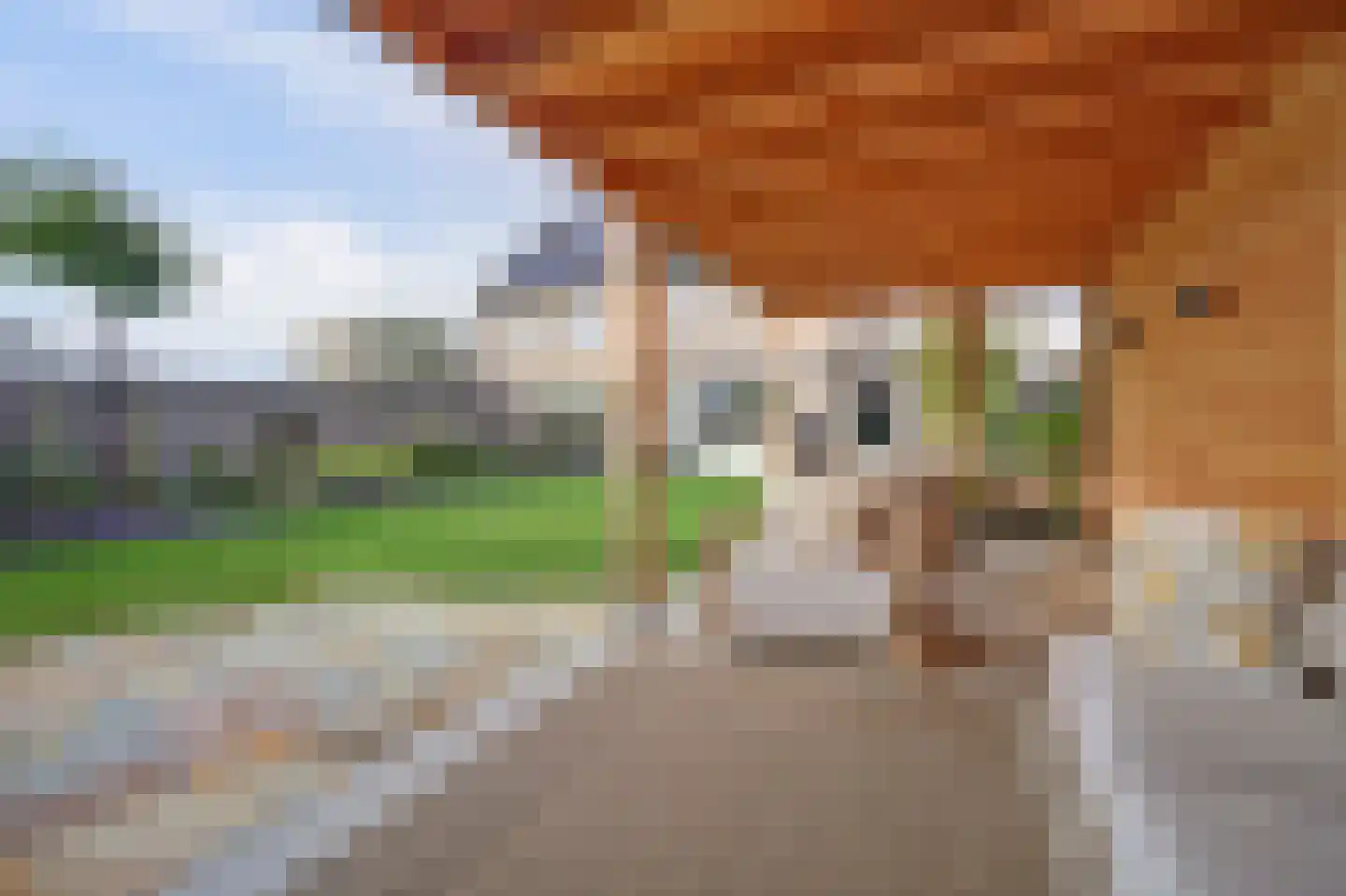 Nachtegaal 4 Vlijmen thumbnail 41