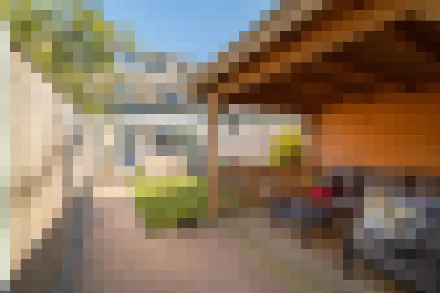 Nachtegaal 41 Deventer thumbnail 15