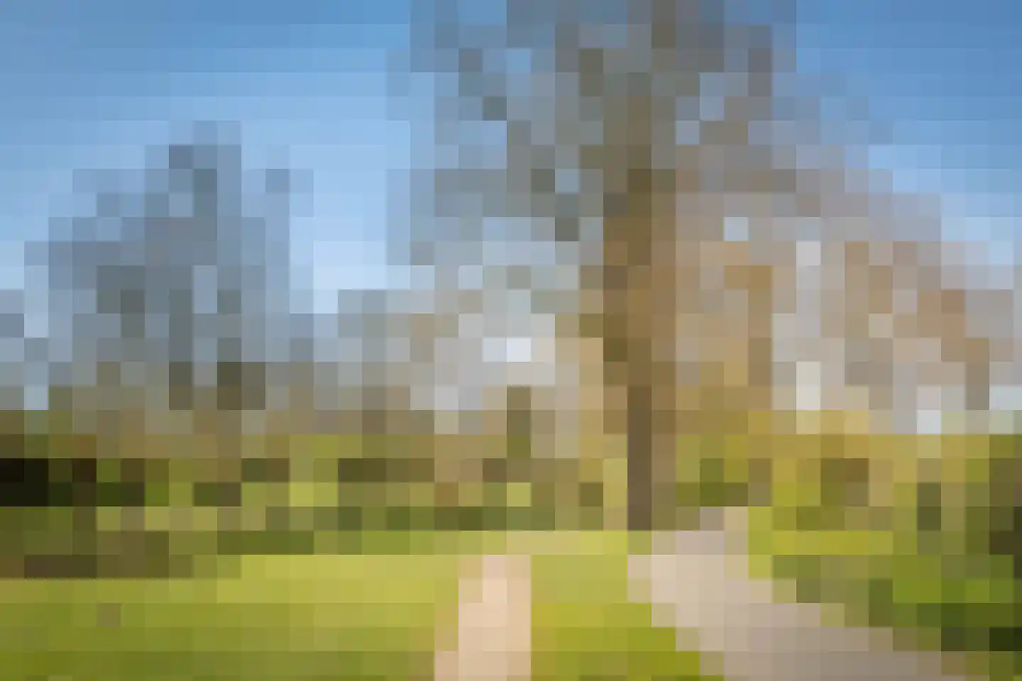 Nachtegaal 41 Deventer thumbnail 27