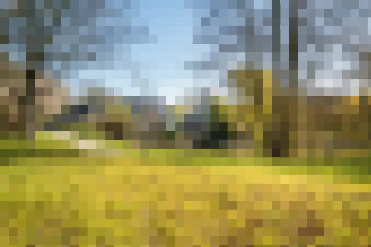 Nachtegaal 41 Deventer thumbnail 28