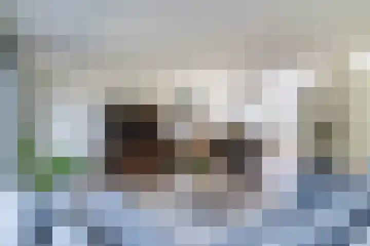Nachtegaal 43 Bladel thumbnail 11