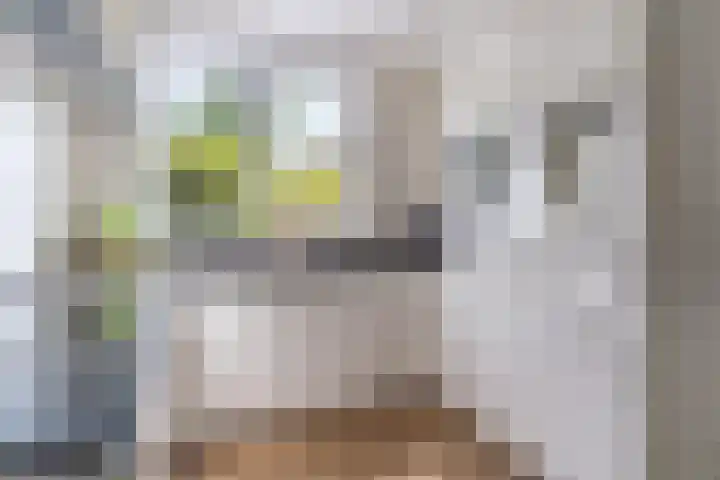 Nachtegaal 43 Bladel thumbnail 15