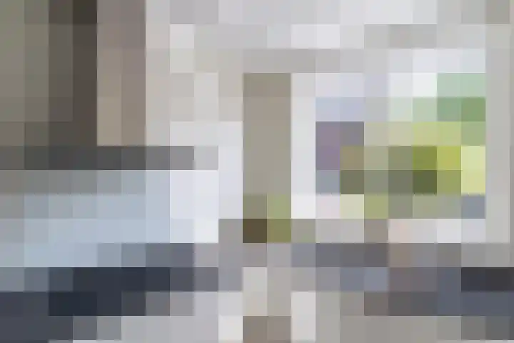 Nachtegaal 43 Bladel thumbnail 16
