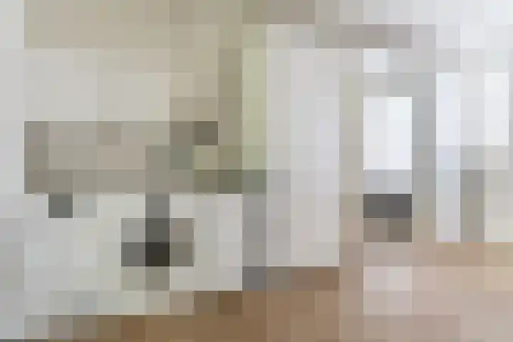 Nachtegaal 43 Bladel thumbnail 18
