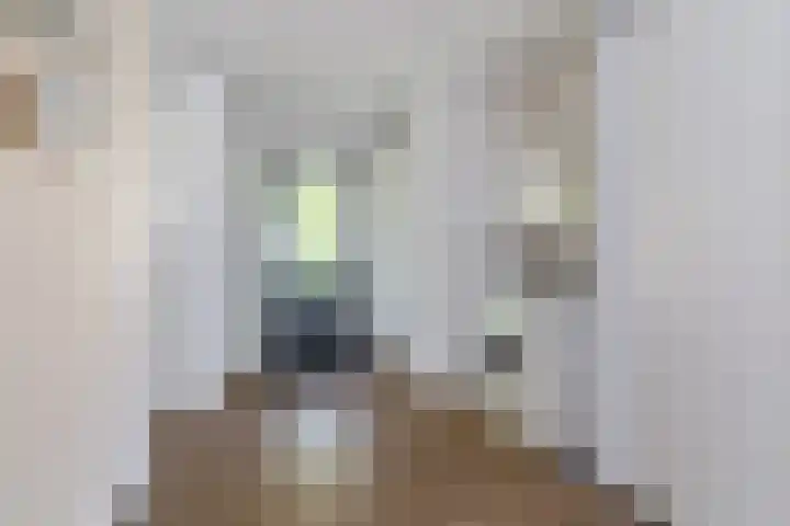 Nachtegaal 43 Bladel thumbnail 20
