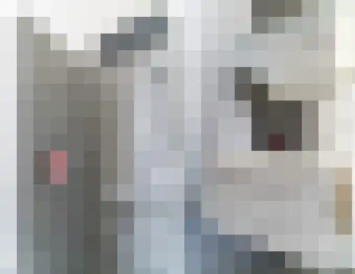 Nachtegaal 43 Bladel thumbnail 27
