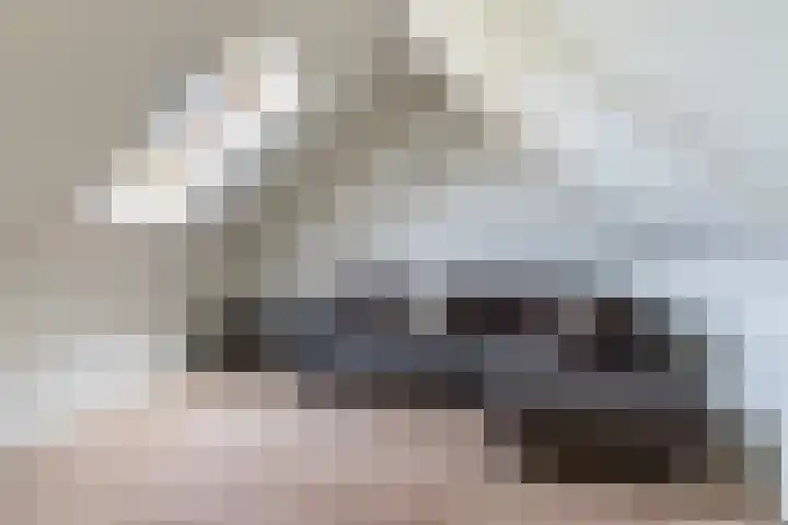 Nachtegaal 43 Bladel thumbnail 34