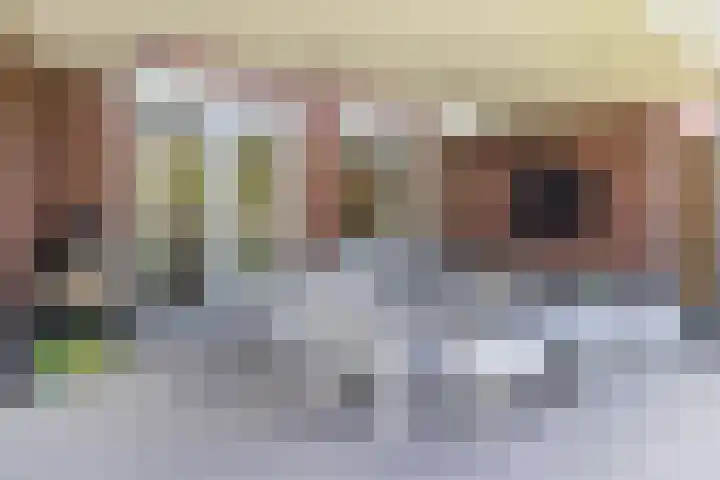 Nachtegaal 43 Bladel thumbnail 36