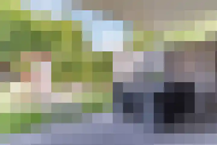 Nachtegaal 43 Bladel thumbnail 38