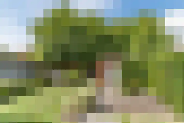 Nachtegaal 43 Bladel thumbnail 39