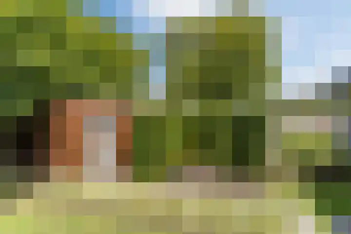 Nachtegaal 43 Bladel thumbnail 40