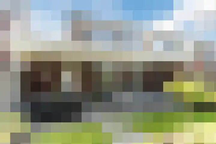 Nachtegaal 43 Bladel thumbnail 42