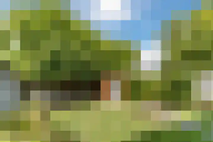 Nachtegaal 43 Bladel thumbnail 43