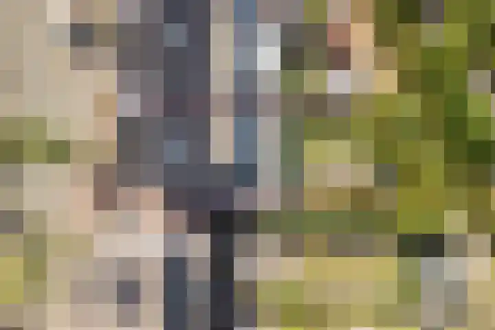 Nachtegaal 43 Bladel thumbnail 44