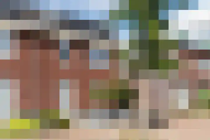Nachtegaal 43 Bladel thumbnail 46