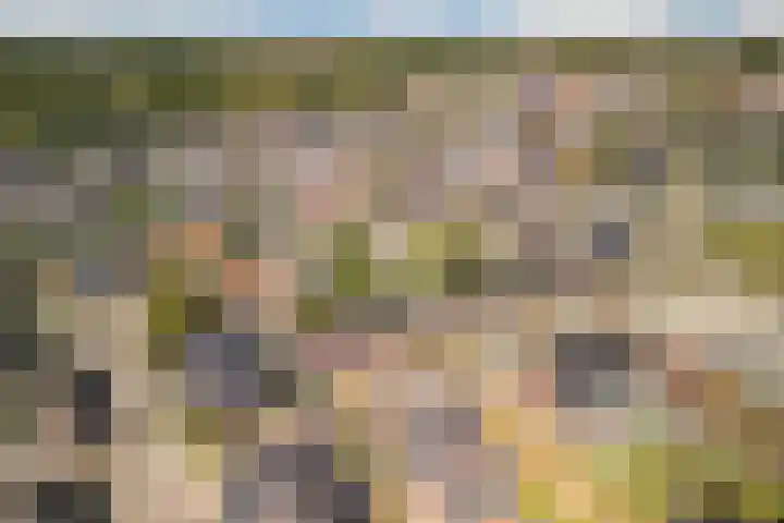 Nachtegaal 43 Bladel thumbnail 49
