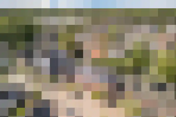 Nachtegaal 43 Bladel thumbnail 50