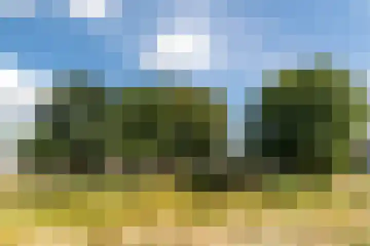 Nachtegaal 43 Bladel thumbnail 51