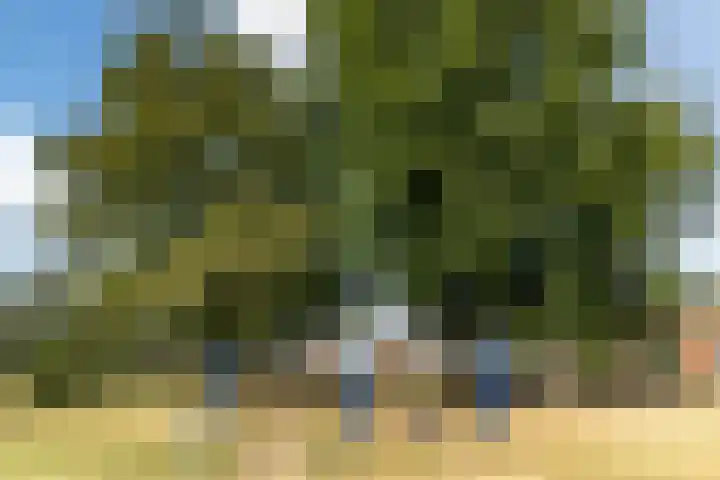 Nachtegaal 43 Bladel thumbnail 53