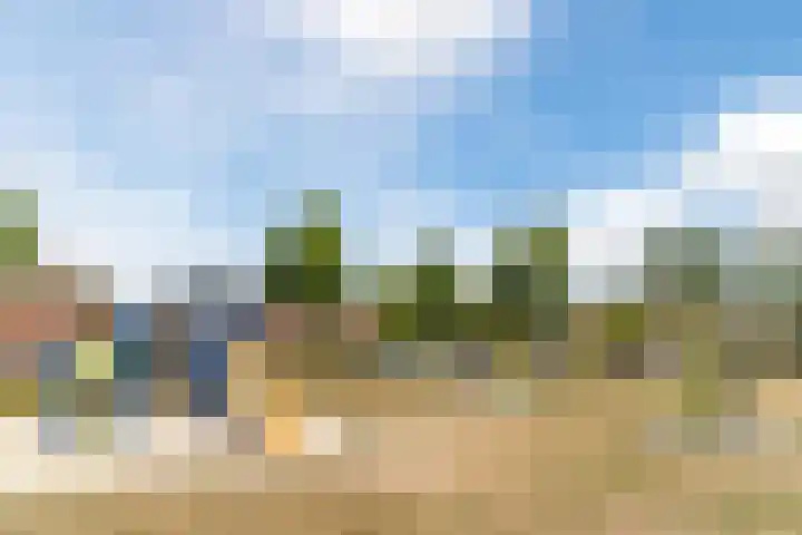 Nachtegaal 43 Bladel thumbnail 54