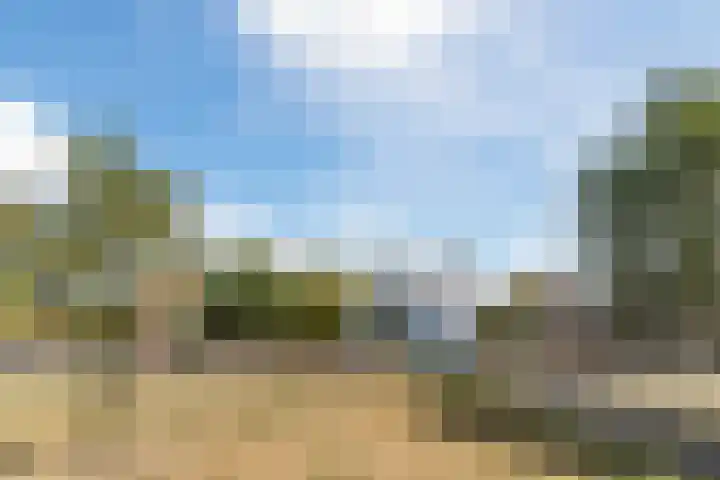 Nachtegaal 43 Bladel thumbnail 55