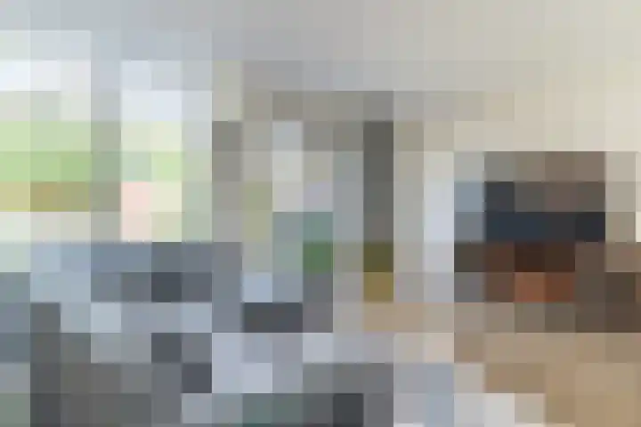 Nachtegaal 43 Bladel thumbnail 6