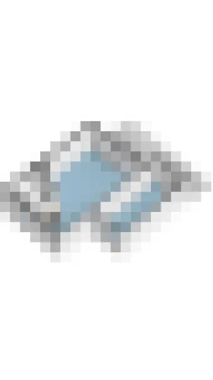 Nachtegaal 43 Bladel thumbnail 62