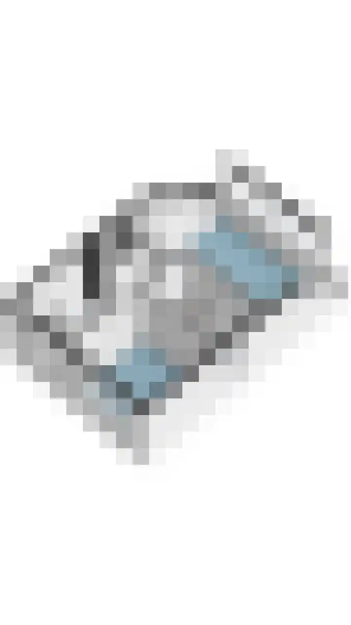 Nachtegaal 43 Bladel thumbnail 64