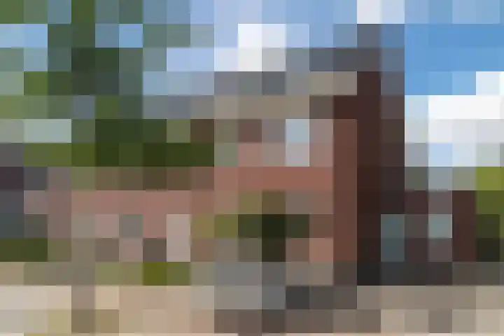Nachtegaal 43 Bladel thumbnail 67