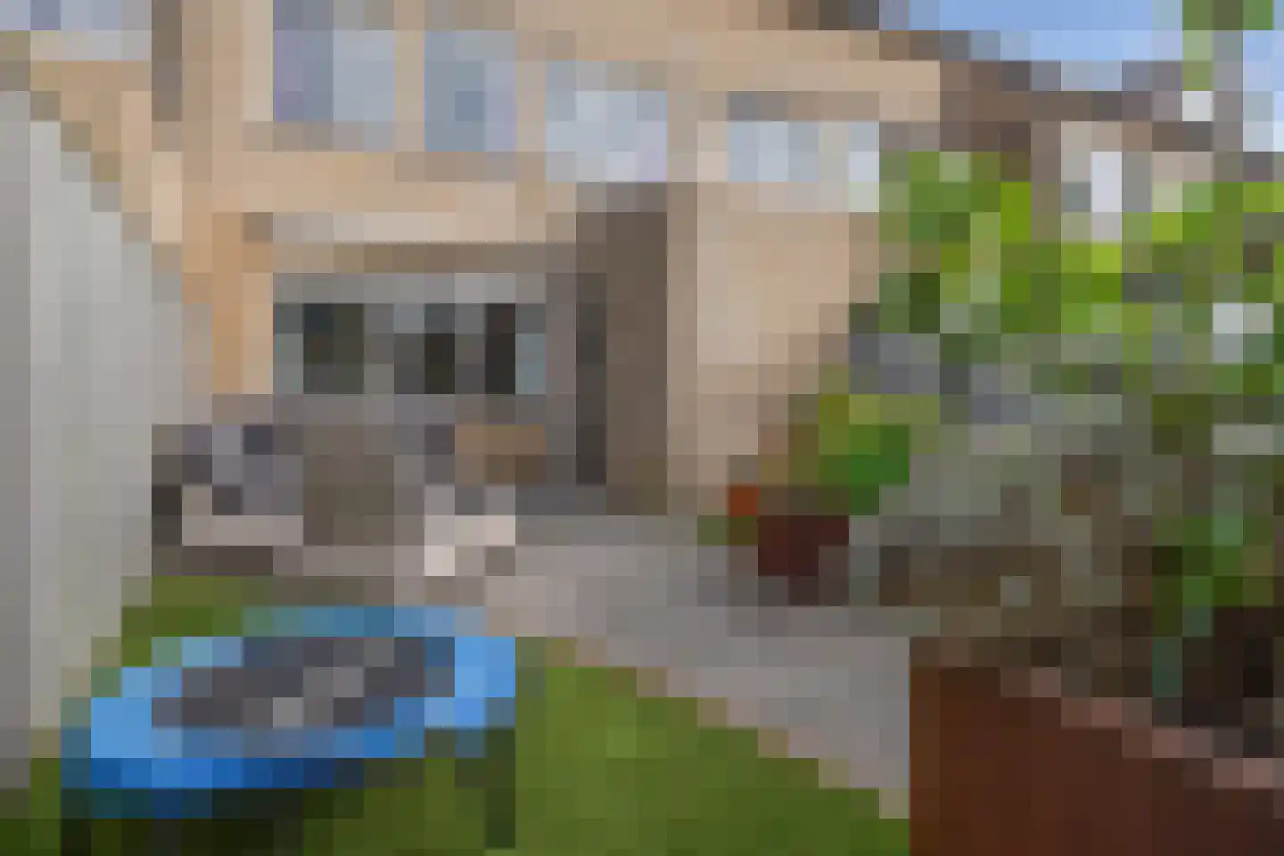 Nachtegaal 46 Etten-Leur thumbnail 39