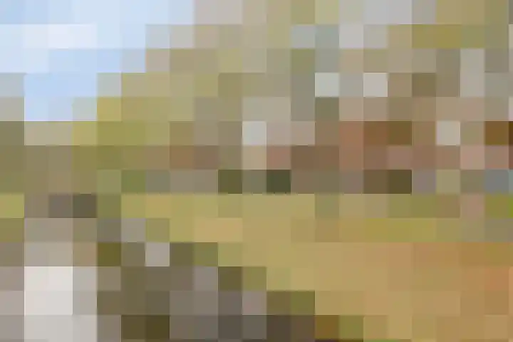 Nachtegaal 49 Hoorn thumbnail 23