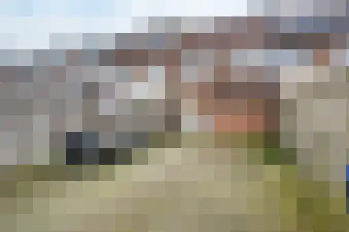 Nachtegaal 55 Hoorn thumbnail 29