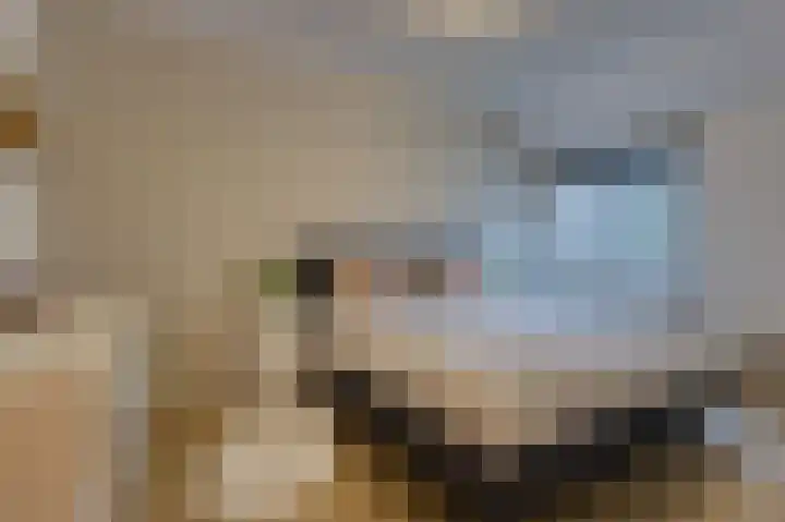 Nachtegaal 55 Hoorn thumbnail 33