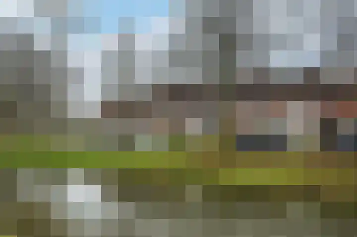 Nachtegaal 55 Hoorn thumbnail 4