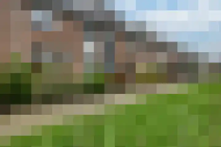 Nachtegaal 55 Hoorn thumbnail 45