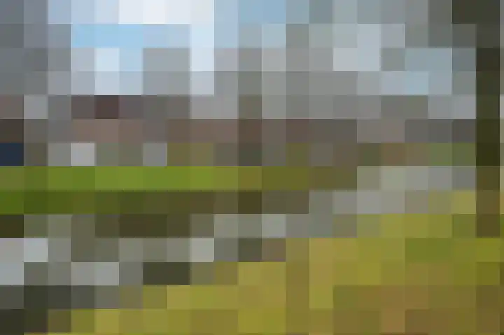 Nachtegaal 55 Hoorn thumbnail 47