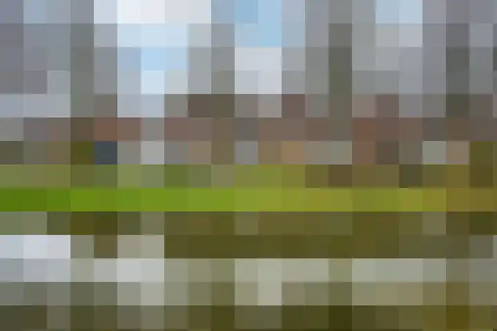 Nachtegaal 55 Hoorn thumbnail 48