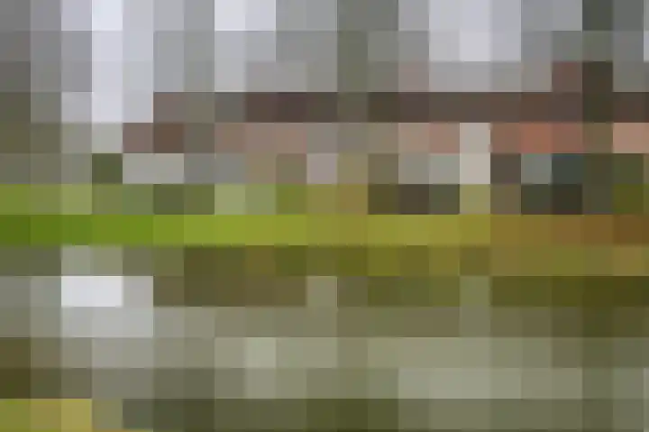 Nachtegaal 55 Hoorn thumbnail 49