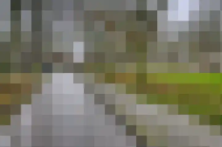Nachtegaal 55 Hoorn thumbnail 51