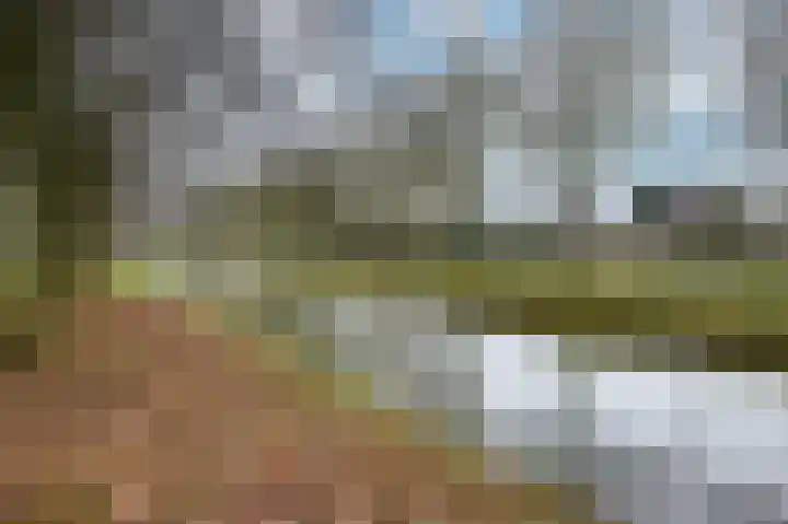 Nachtegaal 55 Hoorn thumbnail 52