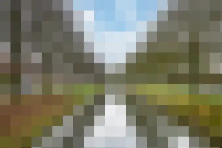 Nachtegaal 55 Hoorn thumbnail 53