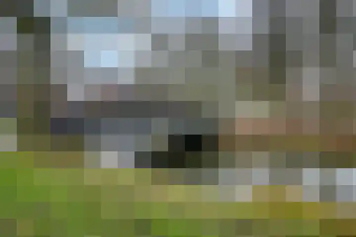 Nachtegaal 55 Hoorn thumbnail 54