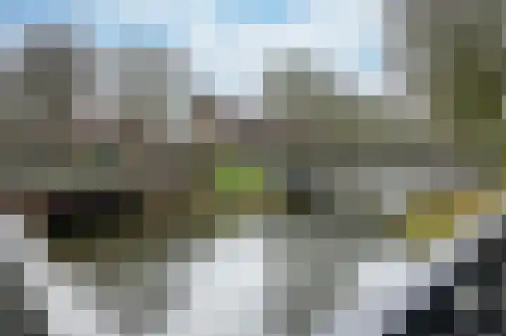 Nachtegaal 55 Hoorn thumbnail 55