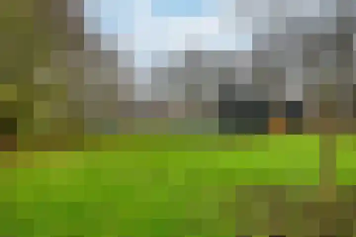 Nachtegaal 55 Hoorn thumbnail 56