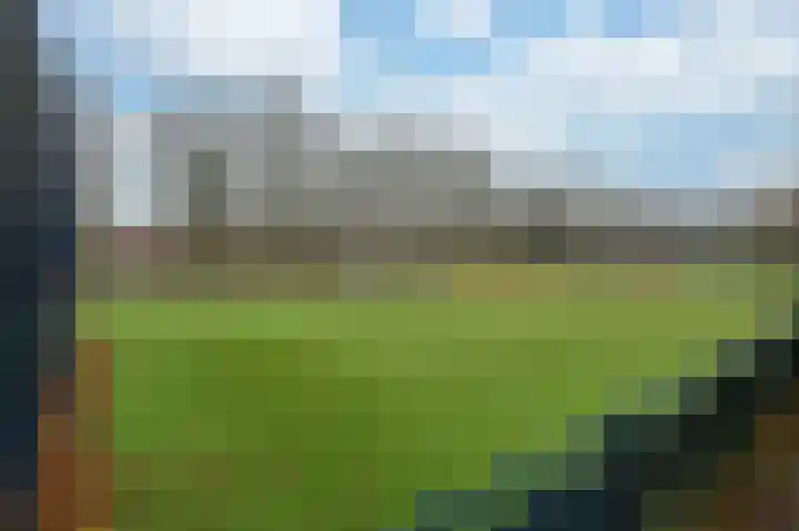 Nachtegaal 55 Hoorn thumbnail 57